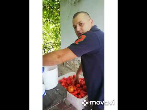 Видео: томатный сок и соковыжималка Нептун