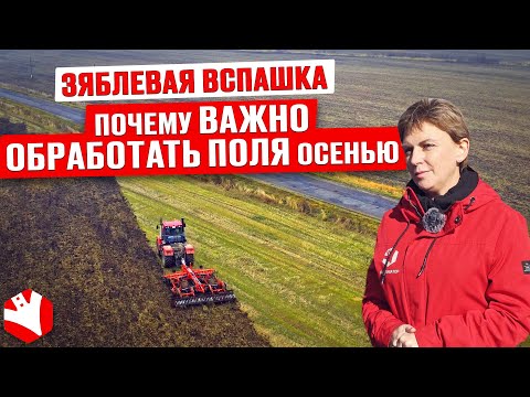 Видео: Осенняя обработка почвы | Зяблевая вспашка | Земледелие