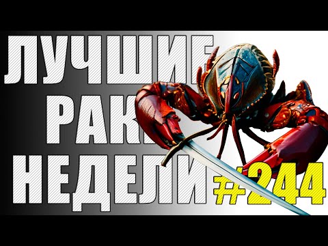 Видео: ЛРН выпуск №244 🤪 ДАВИД ПРОТИВ ГОЛИАФА [Лучшие Раки Недели]
