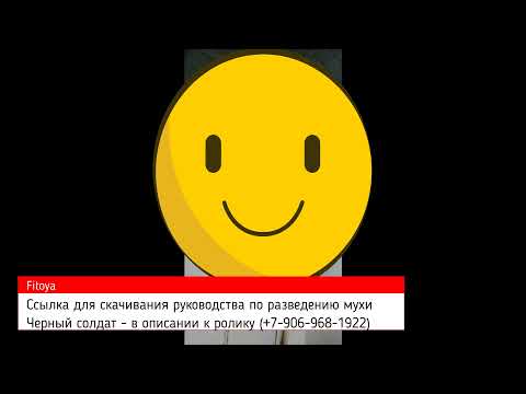 Видео: Механизация разведения мухи Черный солдат.  Механизация выращивания Черной львинки