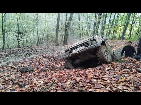 Видео: ШЕРХАН ПСИХУЕТ! ЛУНТИК И ЛЕСНЫЕ БЕЛОЧКИ