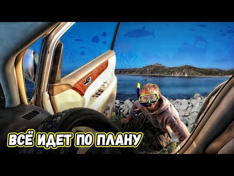 Видео: Попали на море в октябре. Красота. Подводная охота в Японском море. Прокатимся. #gopro #sony #dji