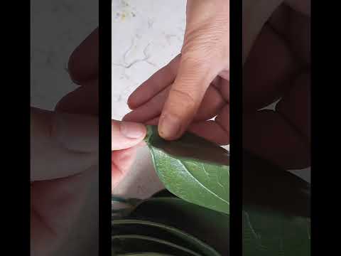 Видео: Сирень из изолона/бузок з ізолону частина 6