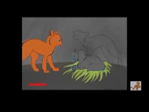 Видео: Огнезвезд и Пепелица — Maksim: "Мой рай"