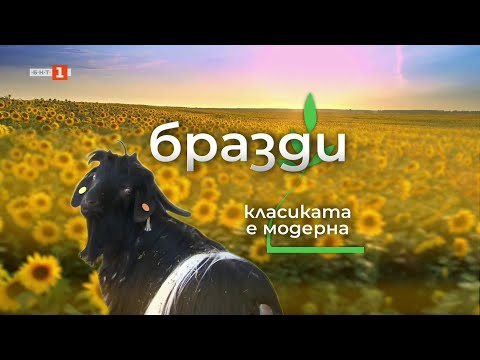 Видео: На гости на едно от първите сдружения на производителите в България, "Бразди" 20.09.2025