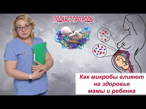Видео: Как микробы влияют на здоровье мамы и ребенка