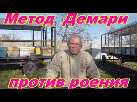 Видео: Борьба с роением пчел. Лучший на 99% метод Демари.