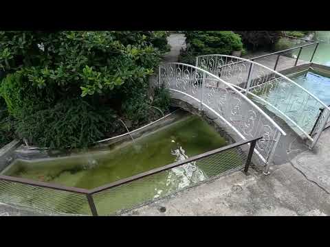 Видео: Kabardinka: Kastalskaya font. Кастальская купель.