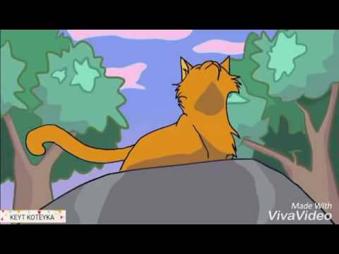 Видео: Коты Воители - КРУЧЕ ВСЕХ.