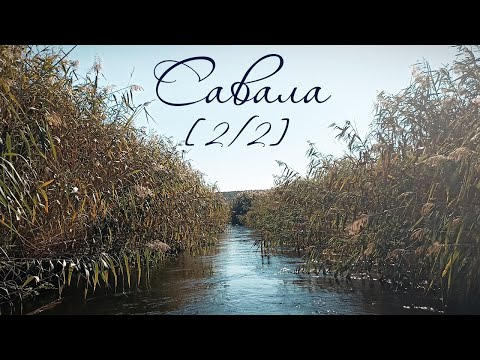 Видео: [2/2] Сплав по реке Савала осень 2025