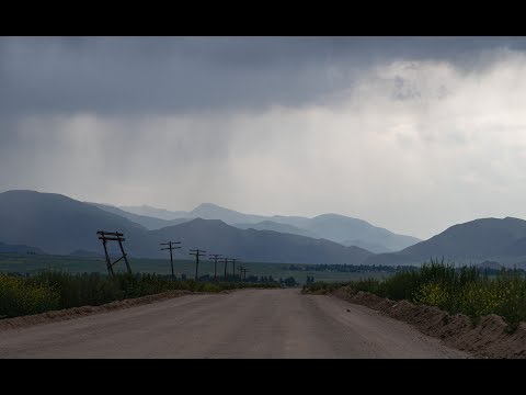 Видео: Змееяд. Жыланчы. Short-toed Snake Eagle.