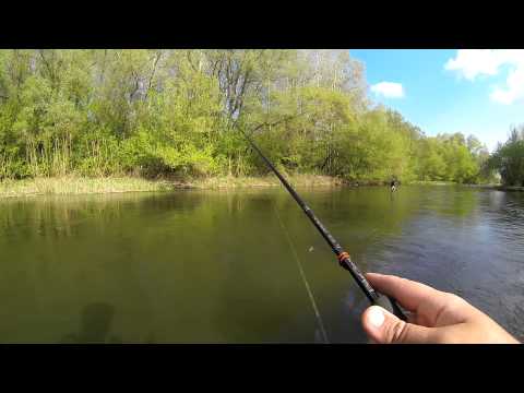 Видео: Мой первый голавль - видео отчет о рыбалке.