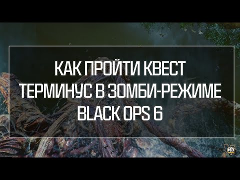 Видео: Гайд: Прохождение основного квеста на Терминус в зомби-режиме Black Ops 6!