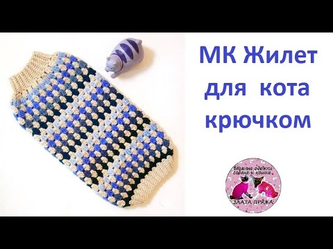 Видео: МК Вяжем крючком жилет для кота