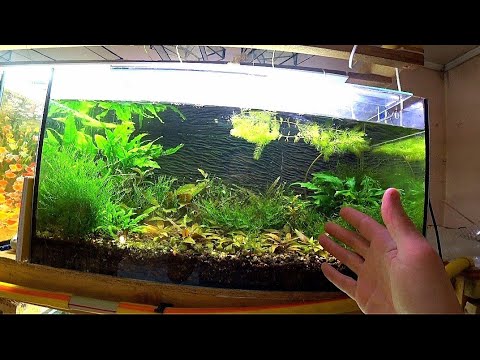 Видео: Разное с разводни