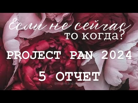 Видео: Бесконечный PROJECT PAN 2024 Отчет 5