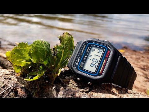 Видео: Часы Casio w-59-1сравнение с Casio F-91-W, почему бен Ладен выбрал вторые?