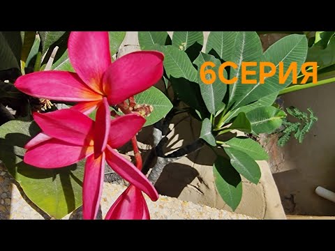 Видео: Тайланд.ПХУКЕТ.ОТЕЛЬ*BEYОND KATA 4*Выборы ,что то пошло не так,или песок,который сыпется..
