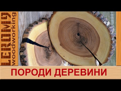 Видео: Породи деревини. Коротка характеристика