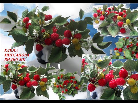 Видео: Кустики малины в смешанной технике