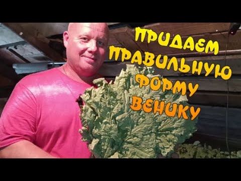 Видео: Придаем правильную форму банному венику