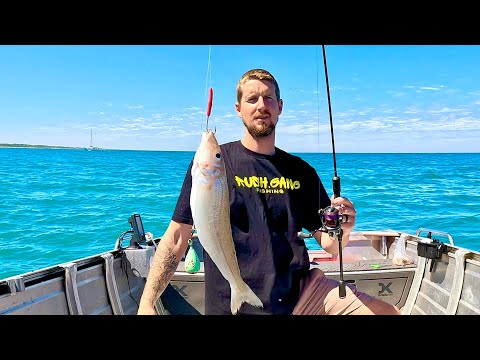 Видео: Я поймал мерланга в кристально чистой воде!