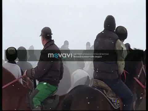 Видео: Адамбай молданын кокпары
