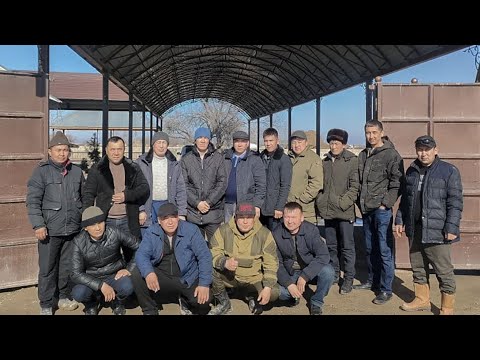 Видео: Байтоғай ауылының 1986 жылы туылған М.Маметова атындағы мектептің 20 жылдық түлектері