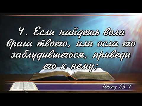 Видео: Юрий ОЩЕПКОВ. Братское служение. О прощении