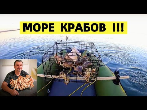 Видео: КРАБАЛКА НА ВСЕ 100% !!!  ЛИМИТ КРАБА НА ТИХОМ ОКЕАНЕ В США. МОРСКОЙ ДЕЛИКАТЕС. DUNGENESS CRAB.