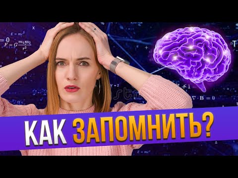 Видео: Как быстро запомнить информацию / Как работает память?🧠