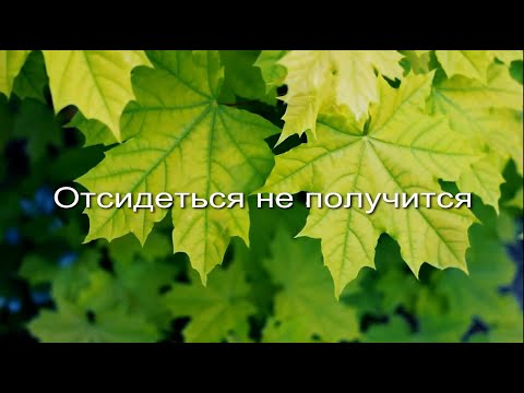Видео: Отсидеться не получится