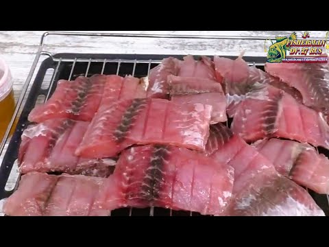 Видео: Малосольный сазан семужного посола, это очень вкусно не чуть не хуже красной рыбы.