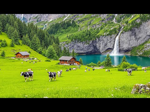 Видео: Расслабляющая, успокаивающая музыка 🌿 Хватит думать, музыка для снятия стресса