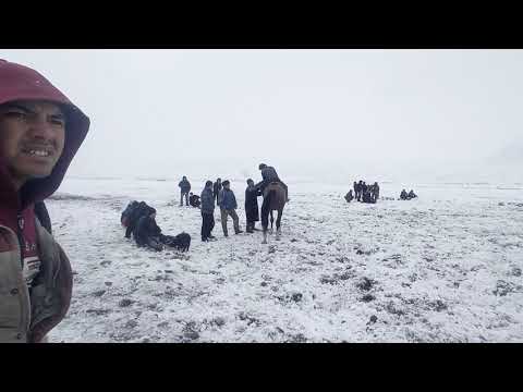 Видео: улак кукари Ак суу 27.12.2020