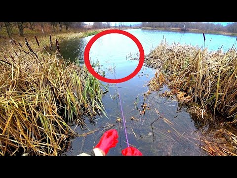 Видео: ПОТЯНУЛ ВЕРЁВКУ ИЗ КАМЫША А ТАМ... ПАКЕТИК -ЧТО В НЁМ?!