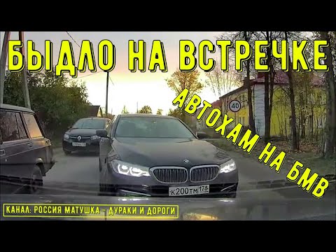 Видео: Быдло на встречке #137! Подборка на видеорегистратор!