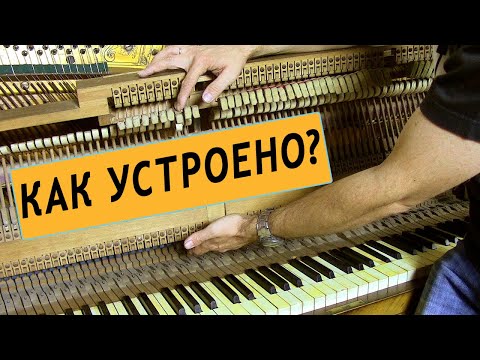 Видео: 🎹 "Фортепиано ДЛЯ ВСЕХ". Урок 1. Как устроено акустическое пианино?