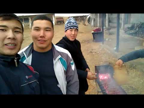 Видео: Толойкон 98