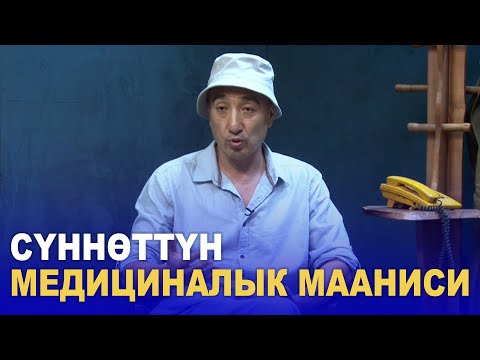 Видео: СҮННӨТТҮН МЕДИЦИНАЛЫК МААНИСИ// Эркиндик 122// Нурбек Монолов