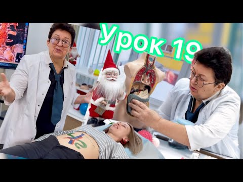 Видео: Урок 19. Как предупредить разрыв брюшной аорты — главной реки нашего тела.