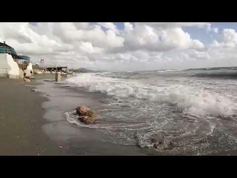 Видео: 17 октября 2025 г.