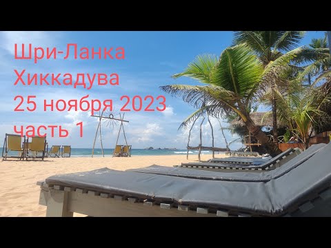 Видео: Хиккадува, Шри-Ланка. 25 ноября 2023(часть 1)