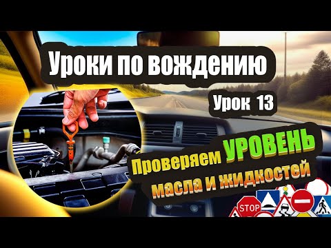 Видео: Как проверить уровень масла в машине. Куда заливать омывайку. Что нужно проверять еще❗️