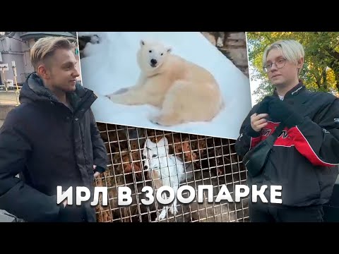 Видео: ДРЕЙК И СТИНТ ГУЛЯЮТ В МОСКОВСКОМ ЗООПАРКЕ | IRL