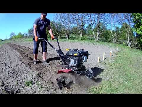 Видео: Культиватор Кентавр МК30 -1Т в роботі.