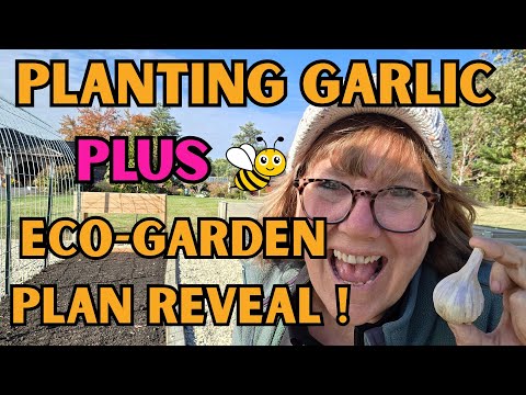 Видео: Не пропустите посадку чеснока этой осенью! 🌱 Мой план эко-сада раскрыт