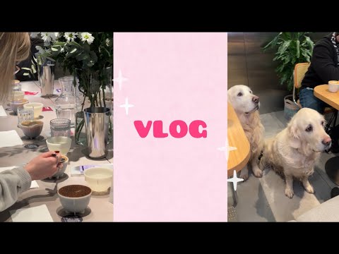 Видео: vlog. my routine | влог. мои обычные будни 💗