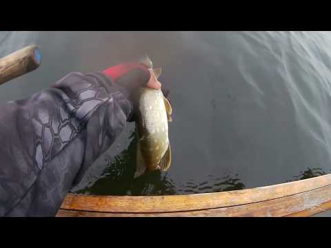 Видео: SPORTEX Hydra Speed UL2101 Мысли и впечатление