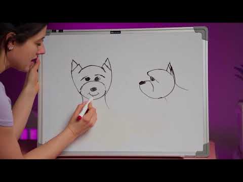 Видео: Как стричь Йорка. Трейлер к Мастер классу по породе "Йорк"